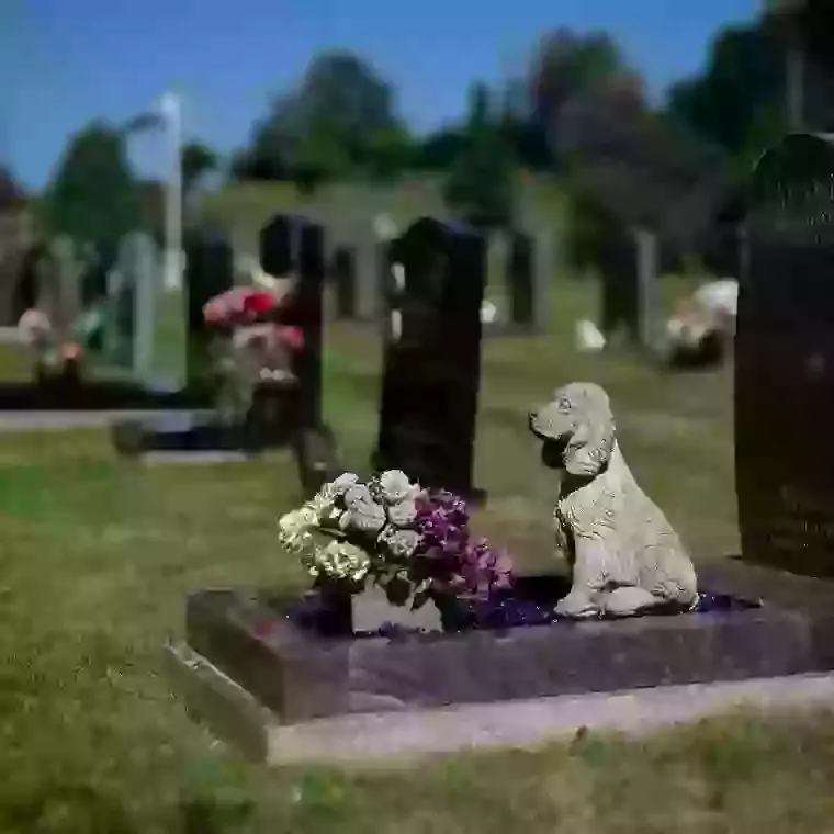 Not Just a Cremation: What an Animal Funeral Crematorium Actually Offers
